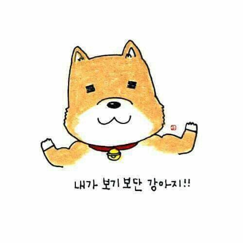 컨셉충